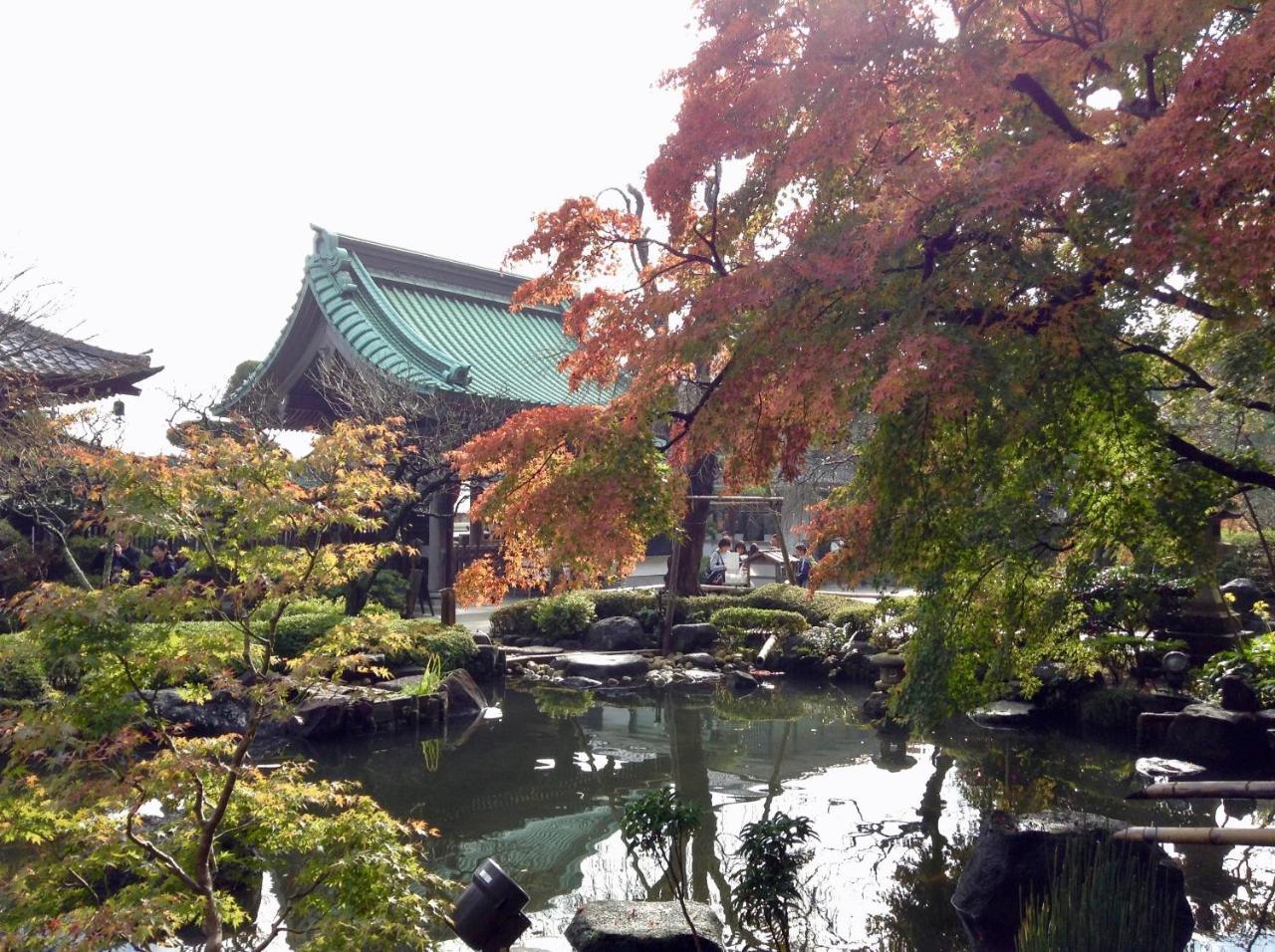 女性専用 Inn By The Sea Kamakura - Women'S Guesthouse Exteriör bild